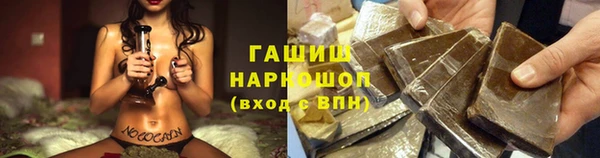 прущие грибы Богданович